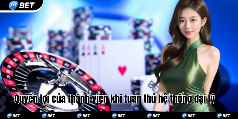 Quyền lợi của thành viên khi tuân thủ hệ thống đại lý 