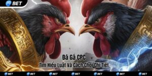Đá gà CPC