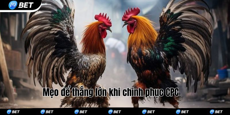 Mẹo để thắng lớn khi chinh phục CPC