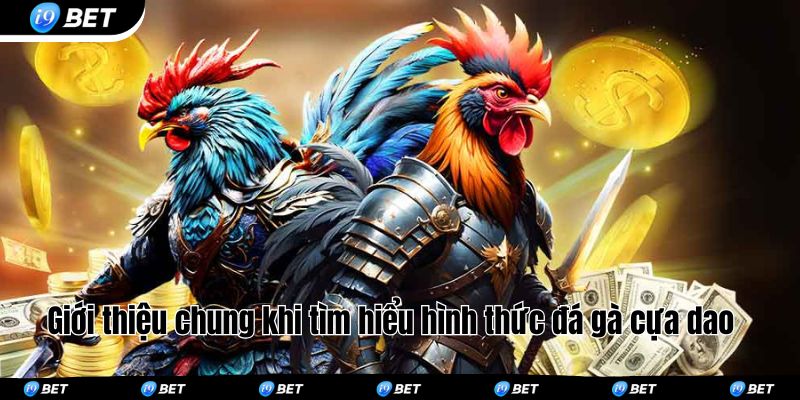 Giới thiệu chung khi tìm hiểu hình thức đá gà cựa dao