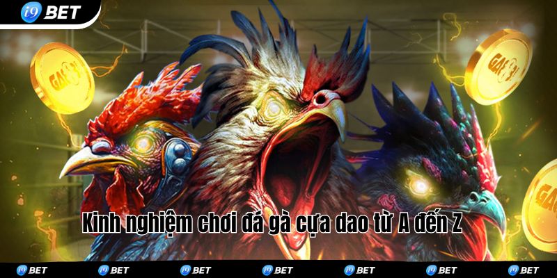 Kinh nghiệm chơi đá gà cựa dao từ A đến Z