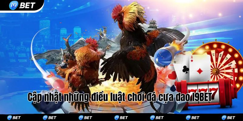 Cập nhật những điều luật chơi đá cựa dao I9BET