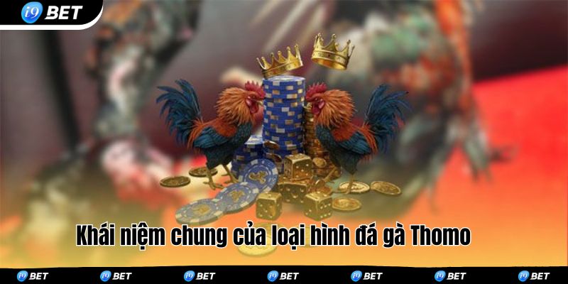 Khái niệm chung của loại hình đá gà Thomo