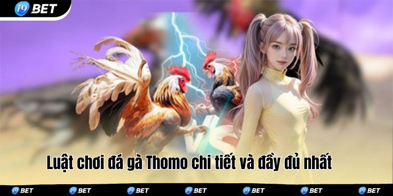 Luật chơi đá gà Thomo chi tiết và đầy đủ nhất