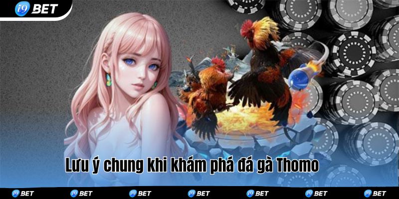 Lưu ý chung khi khám phá đá gà Thomo
